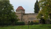 Stadtmauer-Turm